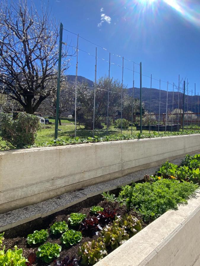 Апартаменты Il Giardino Dei Ciliegi Колико Экстерьер фото