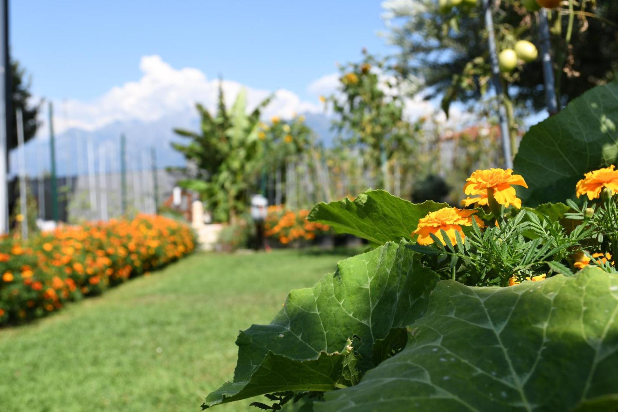 Апартаменты Il Giardino Dei Ciliegi Колико Экстерьер фото