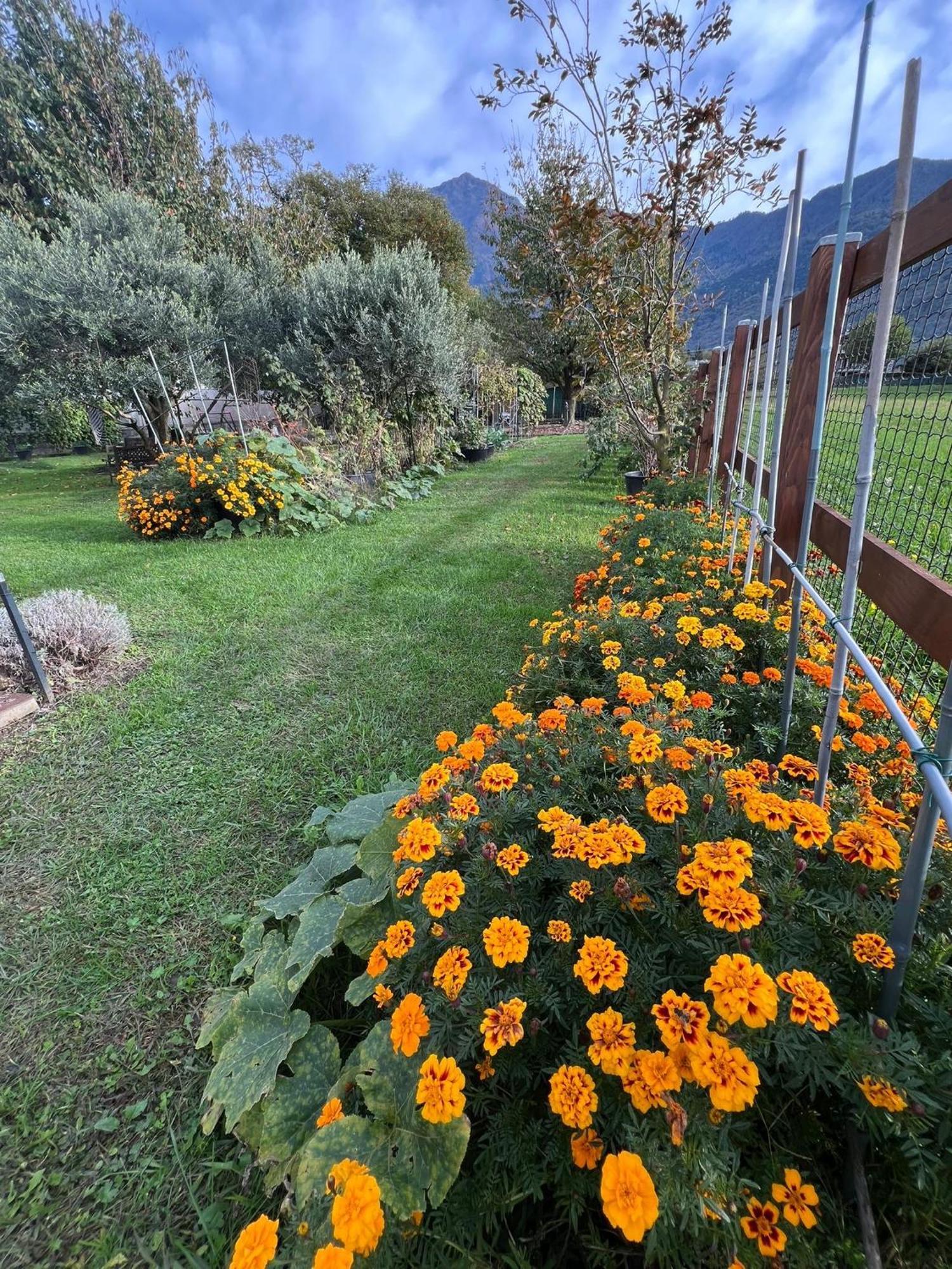 Апартаменты Il Giardino Dei Ciliegi Колико Экстерьер фото